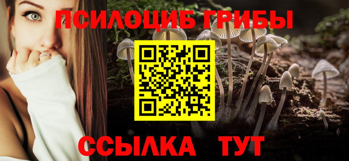 Псилоцибиновые грибы Cubensis  Вход с VPN  Якутск 