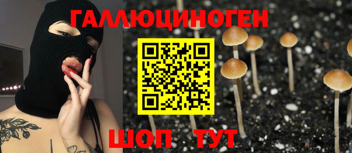 Псилоцибиновые грибы Cubensis Якутск